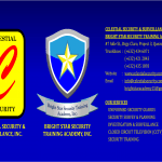 CELESTIAL SECURITY AND SURVEILLANCE INC