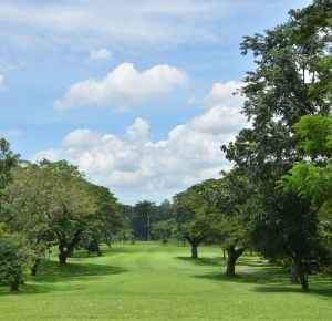 fairway1